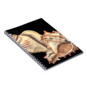 Artistieke Conch Shells Notitieboek (Rechterzijde)