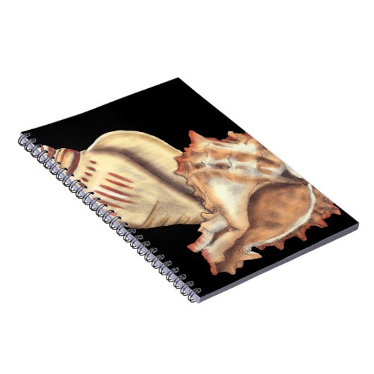 Artistieke Conch Shells Notitieboek (Rechterzijde)