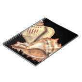 Artistieke Conch Shells Notitieboek (Linkerzijde)