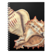Artistieke Conch Shells Notitieboek (Voorkant)