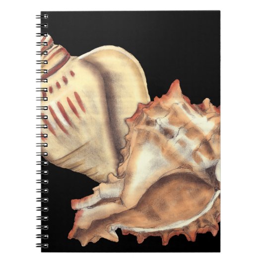 Artistieke Conch Shells Notitieboek (Voorkant)