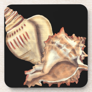 Artistieke Conch Shells Onderzetter