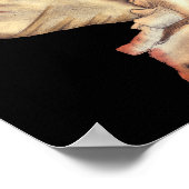 Artistieke Conch Shells Poster (Hoek)