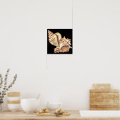 Artistieke Conch Shells Poster (Keuken)