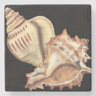 Artistieke Conch Shells Stenen Onderzetter