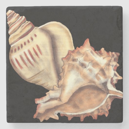 Artistieke Conch Shells Stenen Onderzetter (Voorkant)