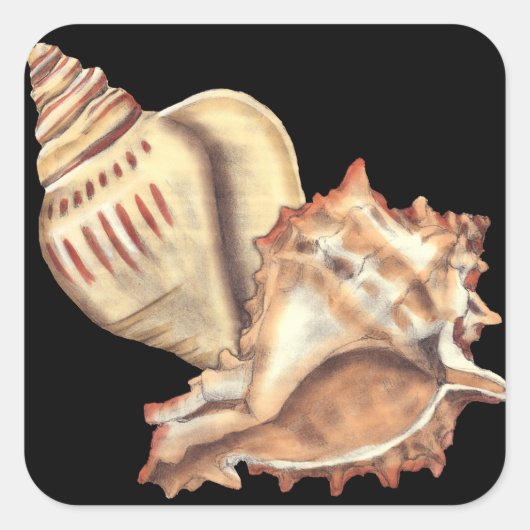 Artistieke Conch Shells Vierkante Sticker (Voorkant)