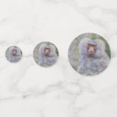 artistieke dierlijke baviaan confetti (Voorkanten)