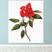 Artistieke eenstem rode rozen canvas afdruk (Insitu (Houten vloer))