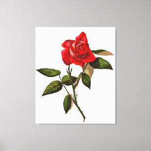 Artistieke eenstem rode rozen canvas afdruk