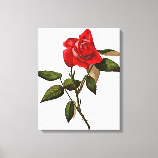 Artistieke eenstem rode rozen canvas afdruk (Voorkant)