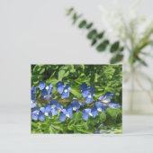 Artistieke foto van Texas Bluebonnet Briefkaart (Staand voorkant)
