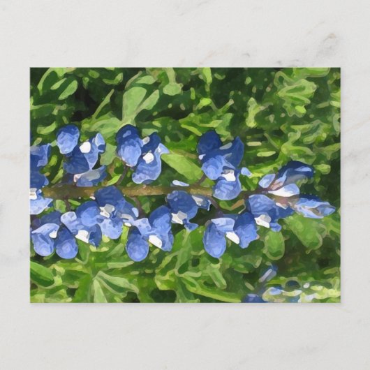 Artistieke foto van Texas Bluebonnet Briefkaart (Voorkant)
