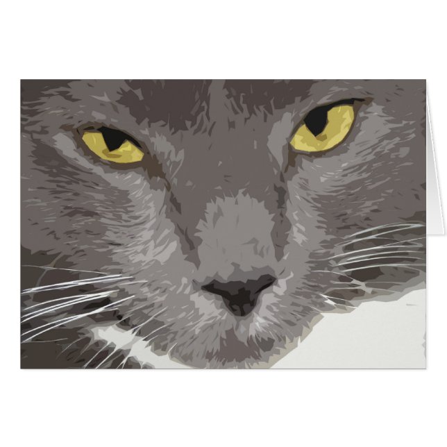 Artistieke grijze kat (Voorkant Horizontaal)