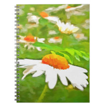 Artistieke, heldere, kleurrijke Witte Garden Daisi