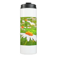 Artistieke, heldere, kleurrijke Witte Garden Daisi