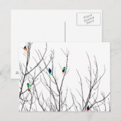Artistieke heldere vogels op boomtakken briefkaart (Voorkant / Achterkant)