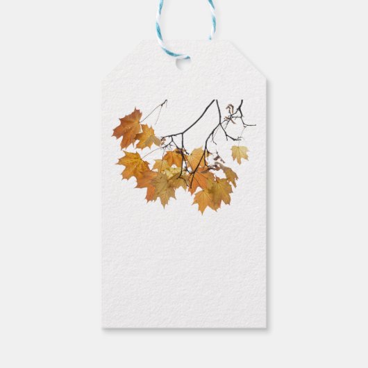 Artistieke herfst leveert Labels voor weddenschap Cadeaulabel (Achterkant)