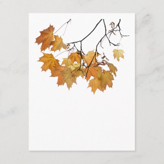 Artistieke herfst verlaat bruiloft informatiekaartje (Achterkant)