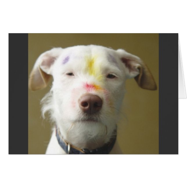 Artistieke hond (Voorkant Horizontaal)