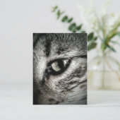 Artistieke kat briefkaart (Staand voorkant)