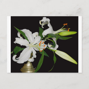 Artistieke Lelie Collectie-1 Briefkaart