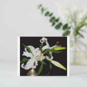 Artistieke Lily Collectie-1 Briefkaart (Staand voorkant)