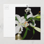 Artistieke Lily Collectie-1 Briefkaart (Voorkant / Achterkant)