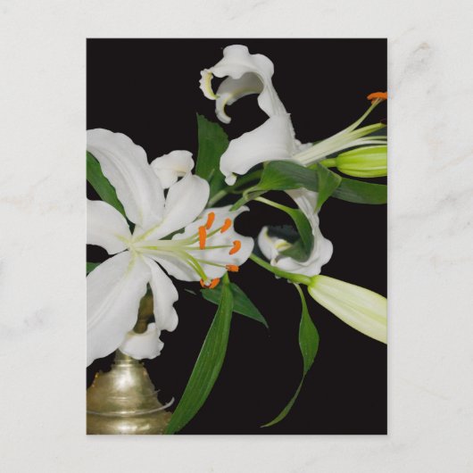 Artistieke Lily Collectie-1 Briefkaart (Voorkant)