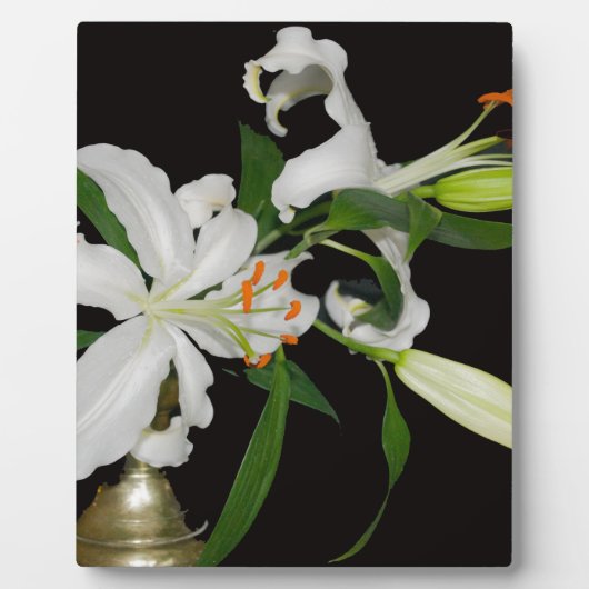 Artistieke Lily Collectie-1 Fotoplaat (Voorkant)