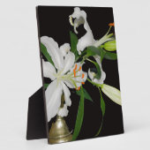 Artistieke Lily Collectie-1 Fotoplaat (Zijkant)