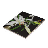 Artistieke Lily Collectie-1 Tegeltje (Zijkant)