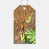 Artistieke limonade die op een ventilatorkop rust cadeaulabel (Voorkant)