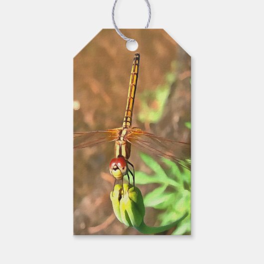 Artistieke limonade die op een ventilatorkop rust cadeaulabel (Voorkant)