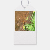 Artistieke limonade die op een ventilatorkop rust cadeaulabel (Achterkant)