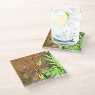 Artistieke limonade die op een ventilatorkop rust glazen onderzetter