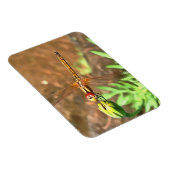 Artistieke limonade die op een ventilatorkop rust magneet (Rechterzijde)