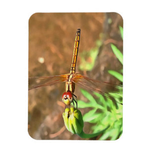 Artistieke limonade die op een ventilatorkop rust magneet