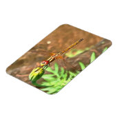 Artistieke limonade die op een ventilatorkop rust magneet (Linkerzijde)