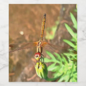 Artistieke limonade die op een ventilatorkop rust wijn etiket (Enkel label)