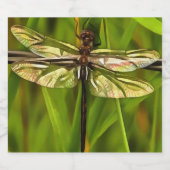 Artistieke limonade in bruin en geel op groen bier etiket (Enkel label)