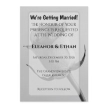 Artistieke Minimalistische Zwarte en Witte Rooskno