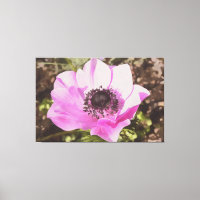 Artistieke pasta roze annemone wilde bloem