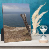 Artistieke retraite fotoplaat (Zijkant)