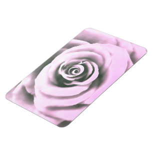 Artistieke roze roze rb magneet