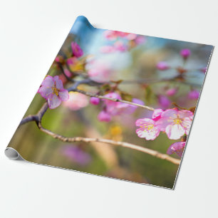 Artistieke roze Sakura-bloemen in de Cherry Garden Cadeaupapier