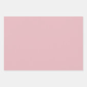 Artistieke roze witte Twig Kerstmis Inpakpapier Vel (Voorkant 2)