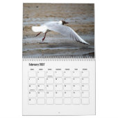 Artistieke Seagull Adventure-agenda Kalender (Feb 2027)