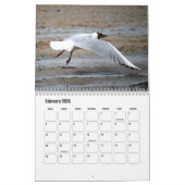 Artistieke Seagull Adventure-agenda Kalender (Feb 2024)