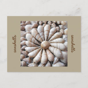 Artistieke Seashell Cirkel Post Card Briefkaart